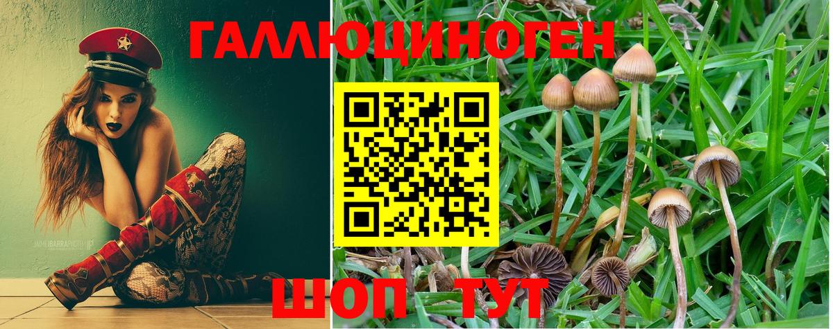LSD-25  Кудымкар  МЕТАМФЕТАМИН  Канабис  Меф   Экстази  Гашиш  ГАШИШ  Вход с VPN 