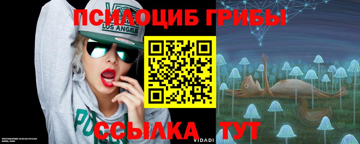 Галлюциногенные грибы ЛСД Кудымкар